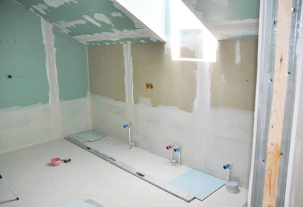 Best Post-Construction Mold Inspection  in Cairo, NE