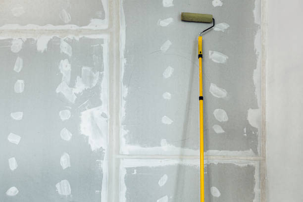 Best Black Mold Removal  in Cairo, NE