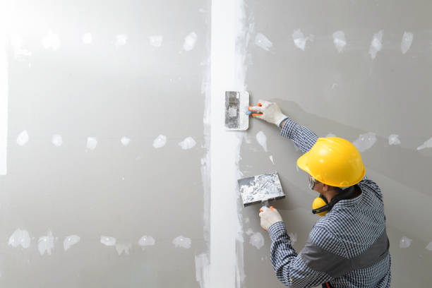 Best Mold-Related Health Consultation  in Cairo, NE