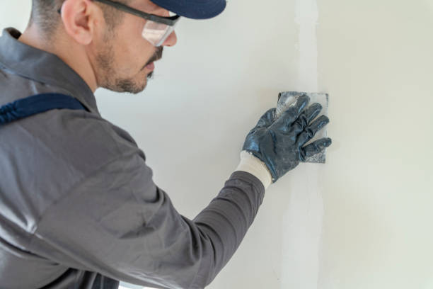Best Residential Mold Inspection & Testing  in Cairo, NE