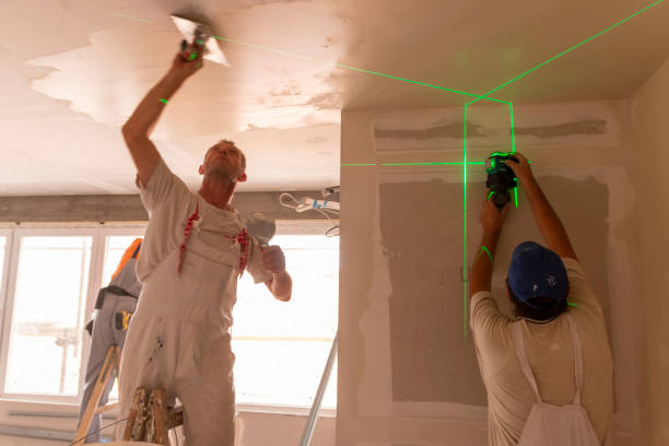 Best Dehumidification Services  in Cairo, NE