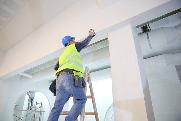 Professional Mold Removal in Cairo, NE