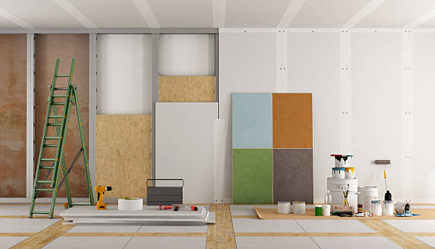 Best Post-Construction Mold Inspection  in Cairo, NE