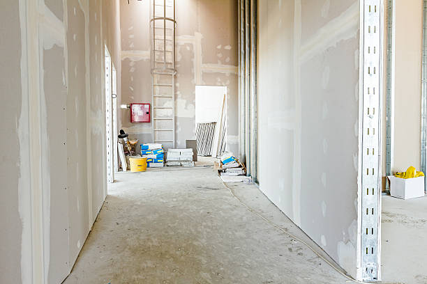 Best Asbestos and Lead Testing During Mold Inspection  in Cairo, NE