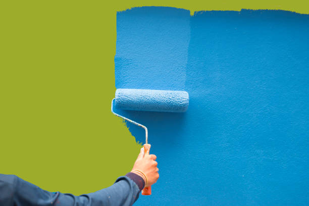Mold Remediation for Rental Properties in Cairo, NE